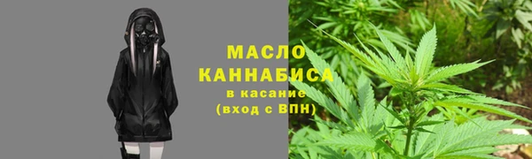 индика Волоколамск