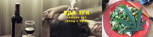 индика Волоколамск